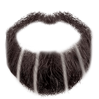 Beard Man Png​