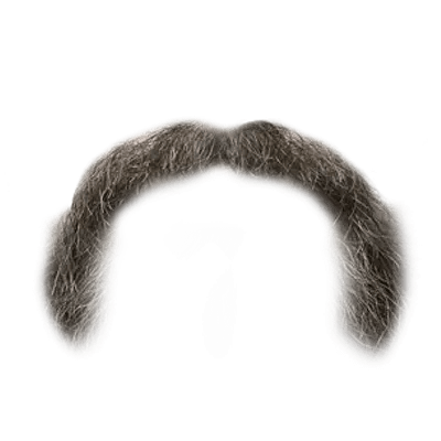 mustache and beard png​ free