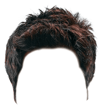 single hair png
